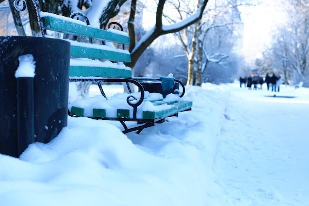 Zimowy park z ławkami pokrytymi śniegiem