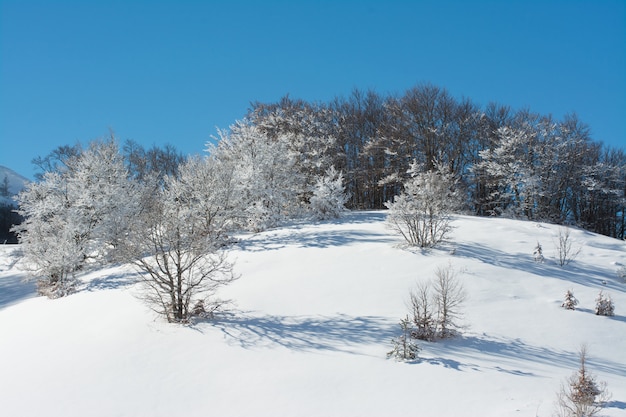 Zimowy Pejzaż Ze śniegiem. Campo Felice, Włochy