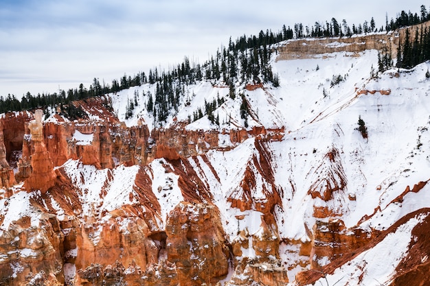 Zimowy poranek w Parku Narodowym Bryce Canyon, USA