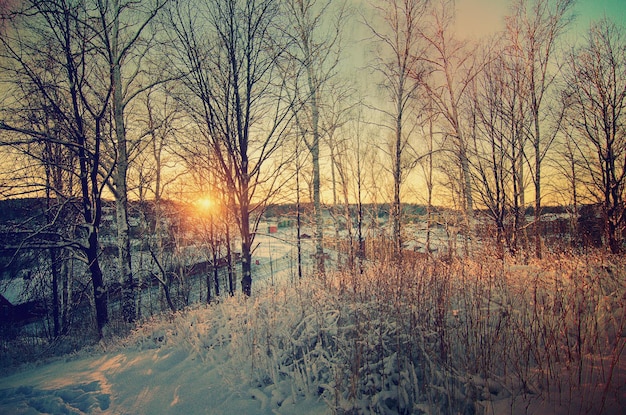 Zimowy słoneczny zachód słońca pejzaż z drzewami i drewnianą ławką na wzgórzu nad miastem w Szwecji północno skandynawski sezonowy hipster tło