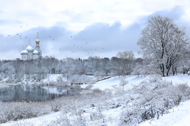 Zimowy śnieg na kopule miasta drzewa