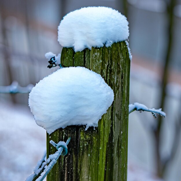 Zdjęcie zimowy śnieg