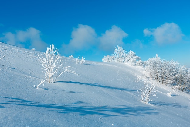 Zimowy śnieżny krajobraz górski
