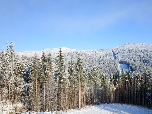 Zimowy Spokojny Górski Krajobraz (widok Z Ośrodka Narciarskiego Bukovel (ukraina) Na Grzbiet Svydovets)