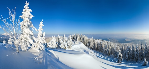 Zimowy spokojny krajobraz śnieżny górski (Karpaty, Ukraina).