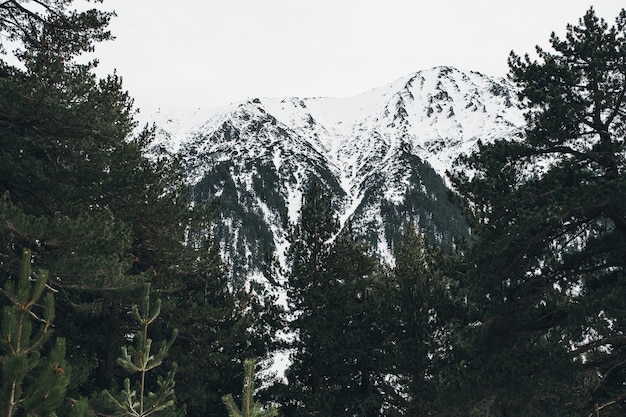 Zimowy widok na góry, piękna kraina cudów górska sceneria