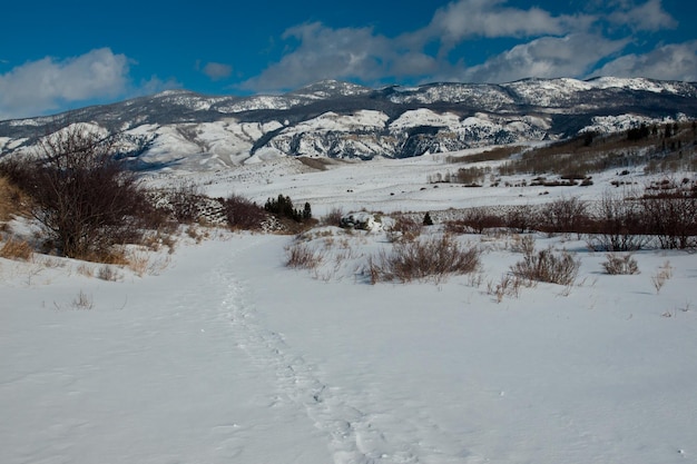 Zimowy Widok Na Pass Creek Ranch, Kolorado.