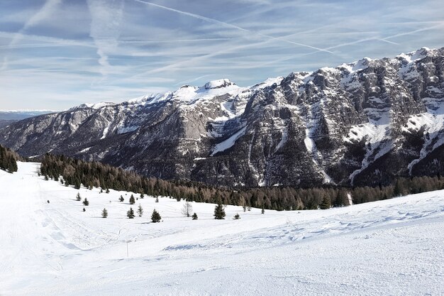 Zimowy. Widok na szlak i gołe pokryte śniegiem klify Dolomitów z lasem u podnóża ośrodka narciarskiego.