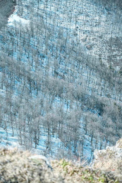 Zimowy zaśnieżony las w górach Fatra szczyt Klak Słowacja Drzewa wyglądają jak w Japonii