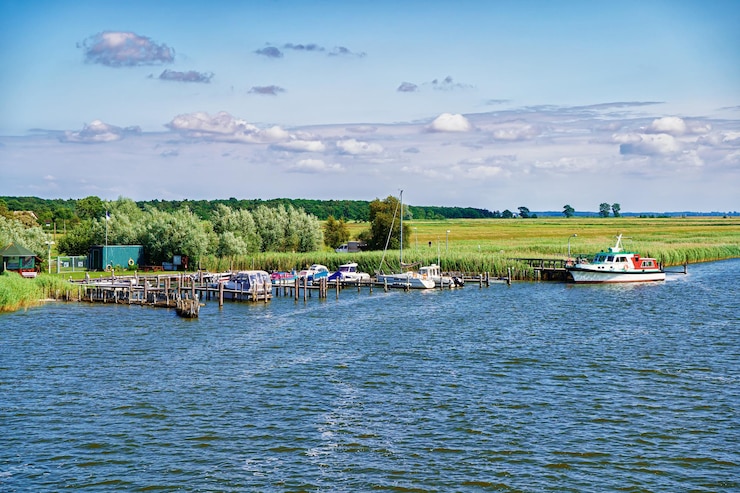 Zdjęcie zingster strom w porcie zingst fischland-darss półwysep mecklenburg-zachodnia pomorza niemcy