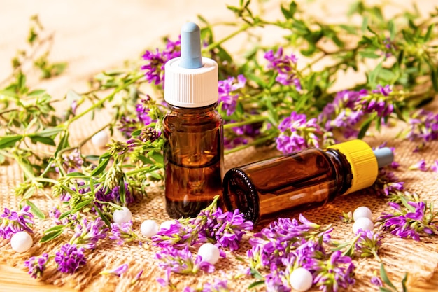 Zioła homeopatyczne i ich ekstrakty Selektywne skupienie natura