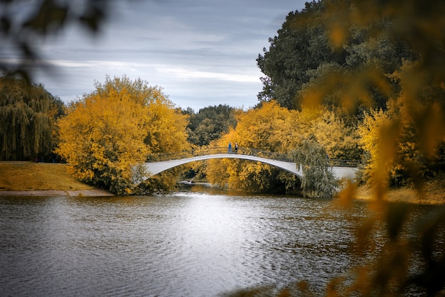 Złota jesień i most nad jeziorem w parku publicznym