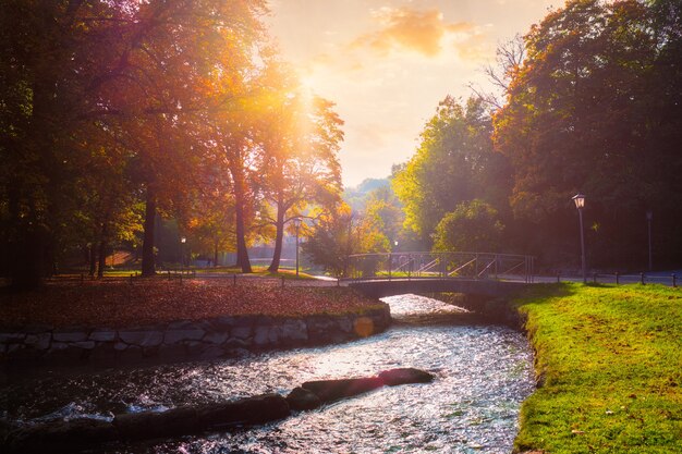 Złota jesień jesień październik w słynnym monachijskim miejscu relaksu englishgarten munchen bavaria niemcy