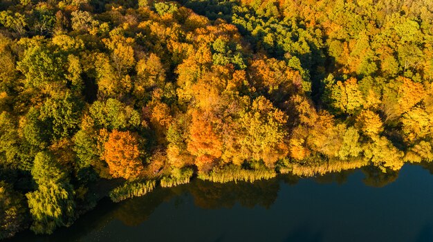 Złota jesień, widok z lotu ptaka lasu z żółtymi drzewami i jezioro krajobraz z góry