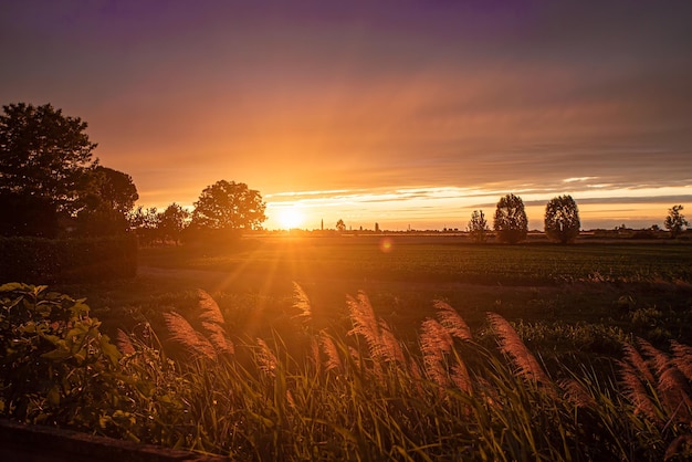 Złota Panorama Wsi O Zachodzie Słońca