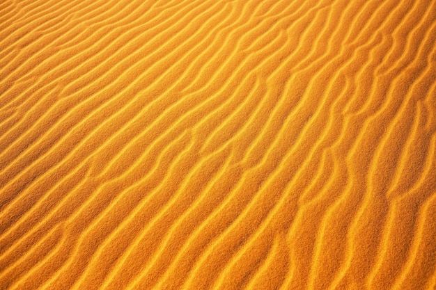 Złota pustynia na zachód słońca Tekstura piasku