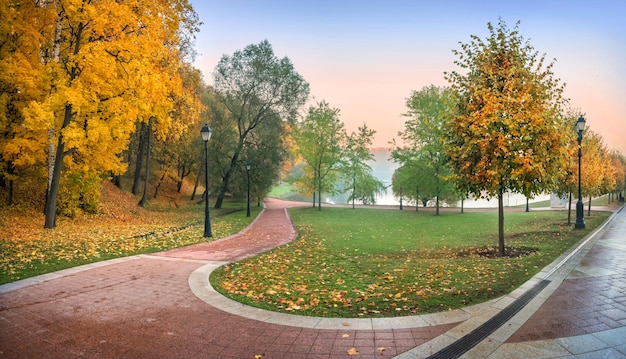 Złote drzewa w jesiennym parku Carycyno w Moskwie i staw w oddali