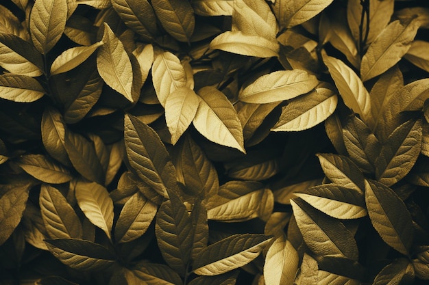 Złote estetyczne tapety z liśćmi