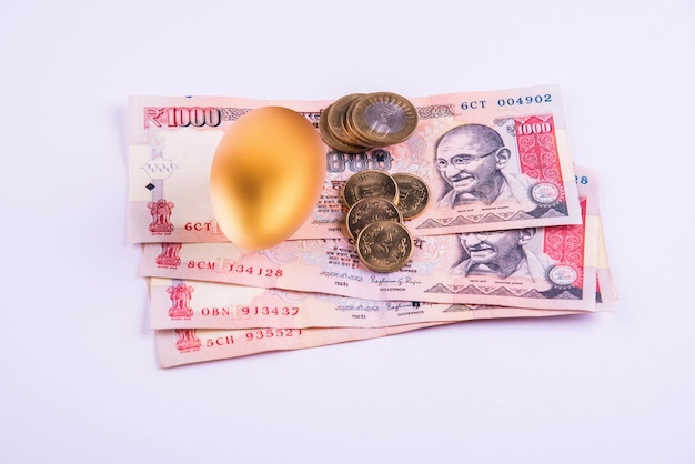 Złote Jajko Na Stosie Indyjskich Banknotów