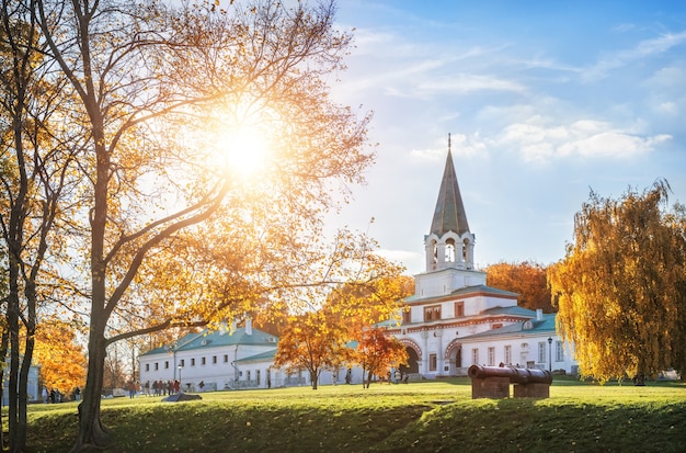 Złote jesienne drzewa i brama frontowa w parku Kołomienskoje w Moskwie w jesienny słoneczny dzień