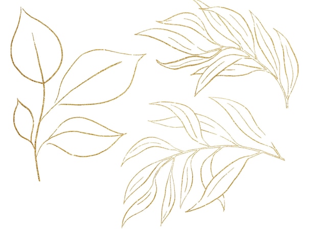 Złote kontury botanicznych liści ilustracja na białym tle