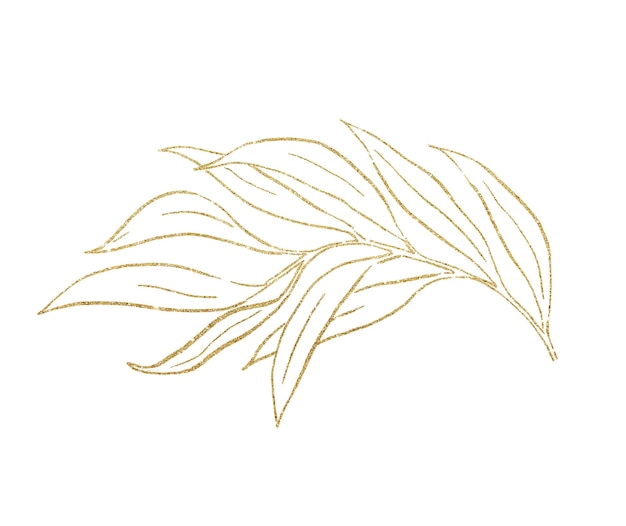Złote kontury botanicznych liści ilustracja na białym tle