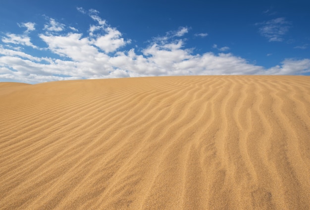 Złote piasek diuny w Maspalomas, Gran Canaria, wyspy kanaryjska, Hiszpania.
