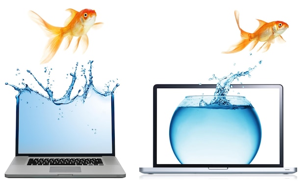 Złote ryby uwalniają się od ekranu laptopa i przemieszczają się do lepszego miejsca w większym akwarium.