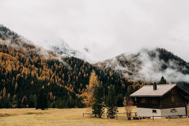 Złote Skowronki W Szwajcarii, Engadin