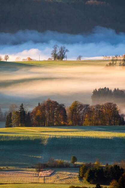 Zdjęcie złote światło zalewa wiejski krajobraz pokryty mgłą austria