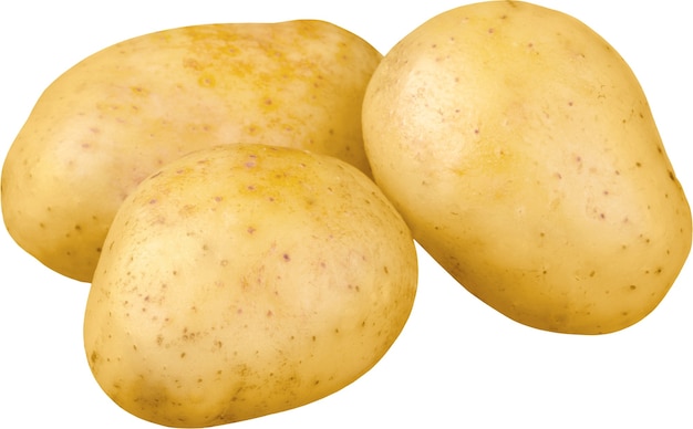 Złote ziemniaki z Jukonu