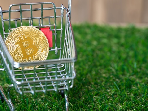 Złoty bitcoin Cryptocurrency w czerwonym wózek na zakupy na zielonej trawy tle.