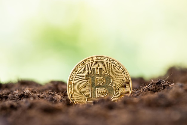 Złoty bitcoin na koncepcji kryptowaluty w tle gleby