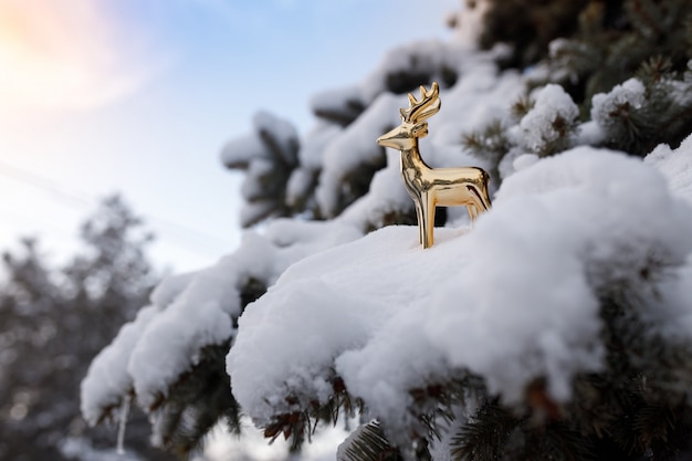 Złoty zabawkarski rogacz stoi na śnieżnej gałąź wiecznozielona sosna na tła niebieskim niebie