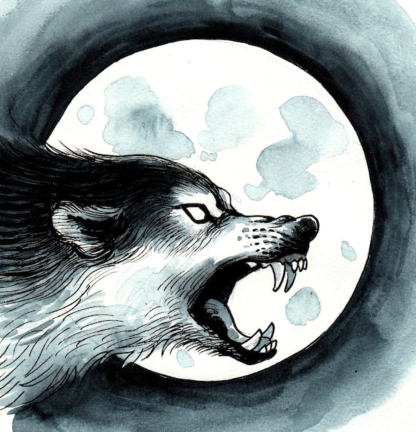 Zły wilk głowy i pełni księżyca. Rysunek tuszem i akwarelą