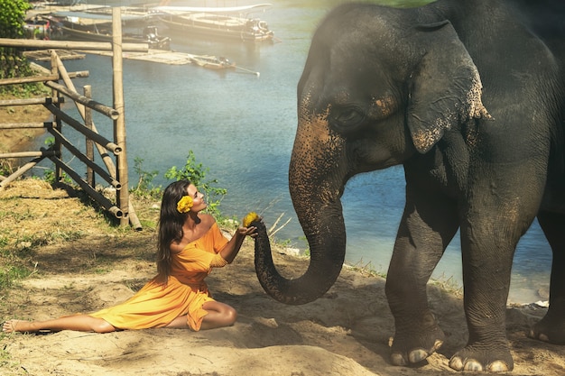 Zmysłowa kobieta w pięknej pomarańczowej sukience i potężnym słoniu