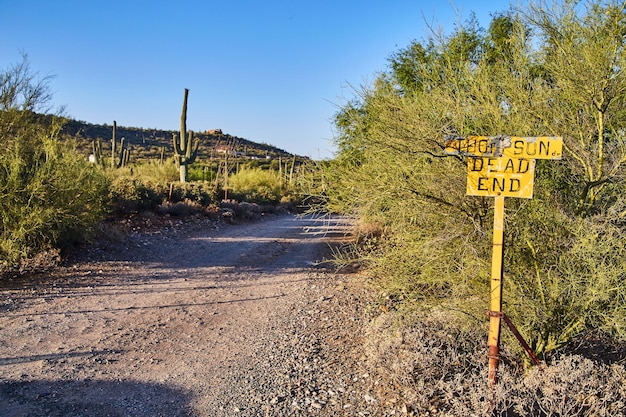 Zdjęcie znak desert dead end z kaktusem saguaro i niebieskim niebem w arizonie