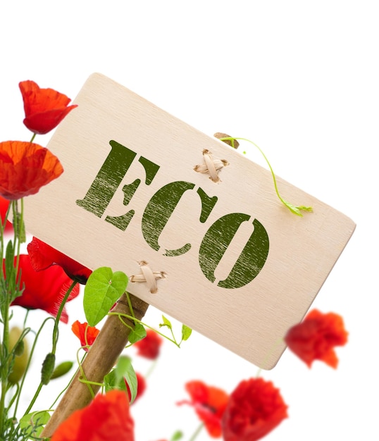 Znak Eco, drewniany panel zielona roślina i maki - obraz jest izolowany na białym tle