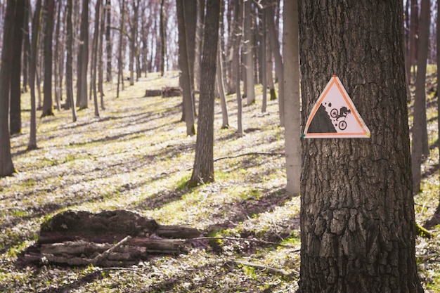 Znak informacyjny na pniu drzewa w lesie