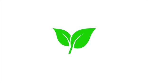 znak liści symbol drzewa liście ikona