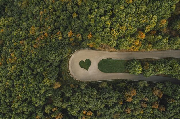 „Znak miłości” symbol serca dłoni na zakrzywionej drodze w lesie, strzał z drona