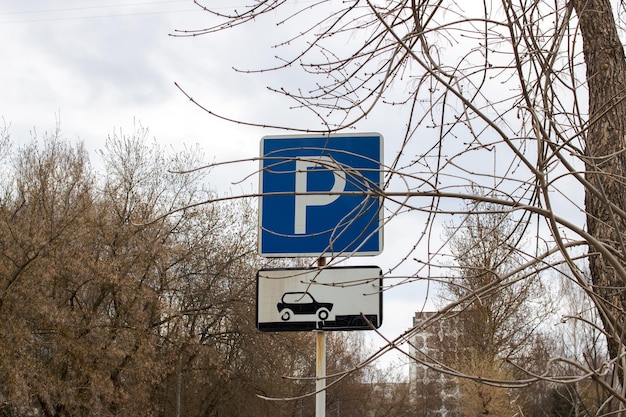 Znak parkingowy w trzech gałęziach na tle błękitnego nieba