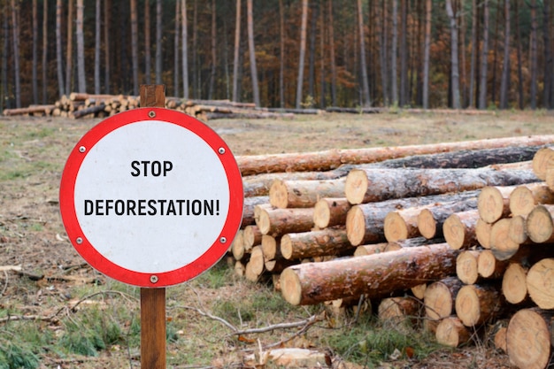 Znak Z Napisem Stop Deforestation