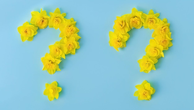 Znak zapytania wykonany z kwiatów pączka na płaskim położeniu na pastelowo-niebieskim tle Wiosna