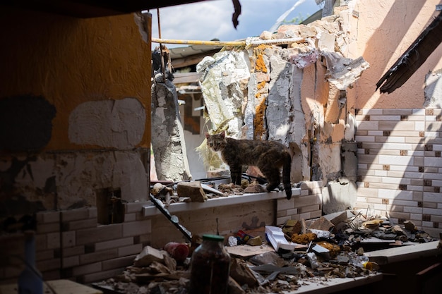 Zniszczone domy po pożarach, artylerii i bombach podczas rosyjskiej inwazji na Ukrainę