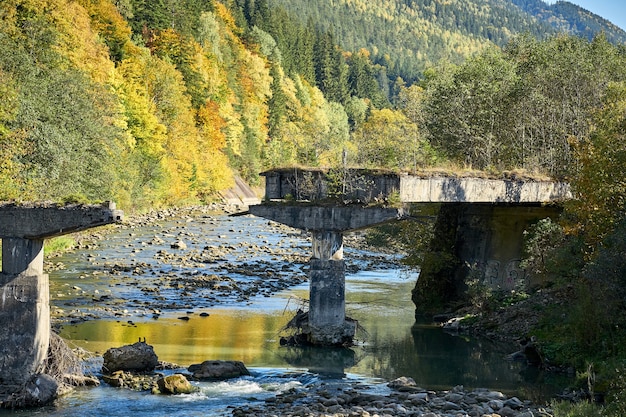 Zniszczony most na górskiej rzece. Ruiny kolumn mostu w Karpatach.