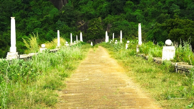 Zdjęcie zniszczony park podczas wojny