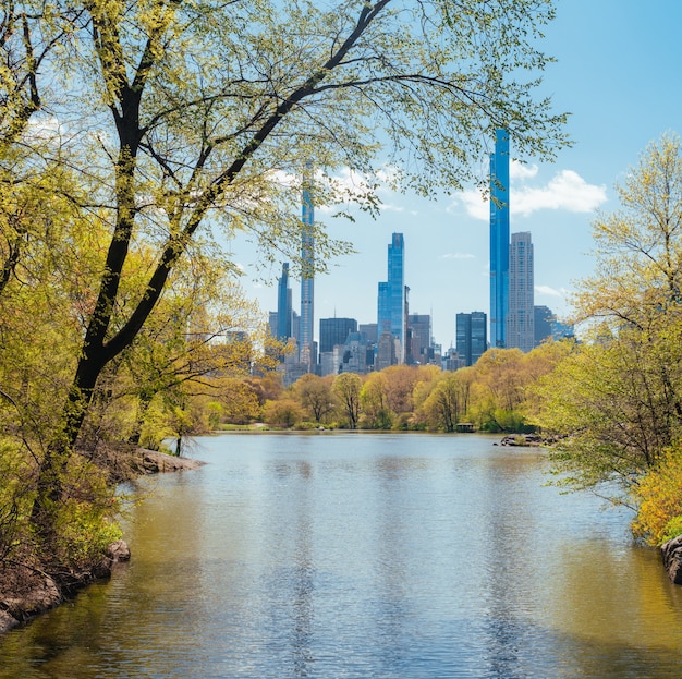 zobacz budynki central park nowy jork natura