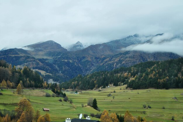 Zobacz krajobraz i pola uprawne z alpami w dolinie TrentinoAlto w South Tyr lub Alto Adige w Bolzano lub bozen we Włoszech