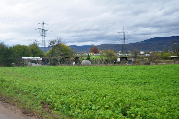 Zobacz krajobraz wsi i plantacji gruntów rolnych w dzielnicy Sandhausen i wsi między podróżą do rynku starego miasta w Heidelbergu w mieście Heidelberg w Badenii-Wirtembergii Niemcy